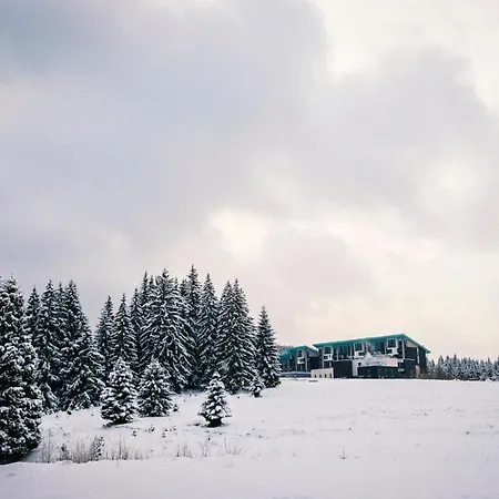 Luxapartment Apartment Poiana Brasov